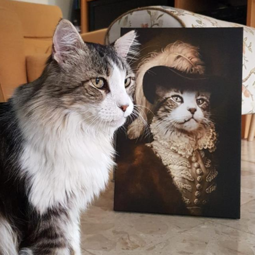 תמונת קנבס - החתול הדוכס (קנבס בעיצוב אישי עם החתול שלכם) photo review